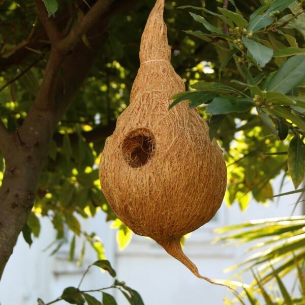 Bird Nest coir products Ireland