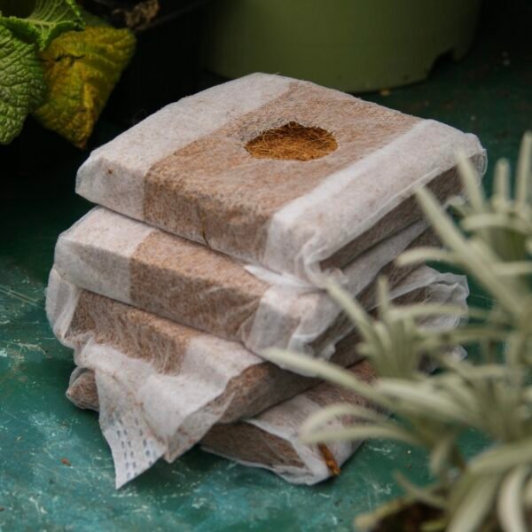 coir growcubes 10cm X 10cm coir products Ireland